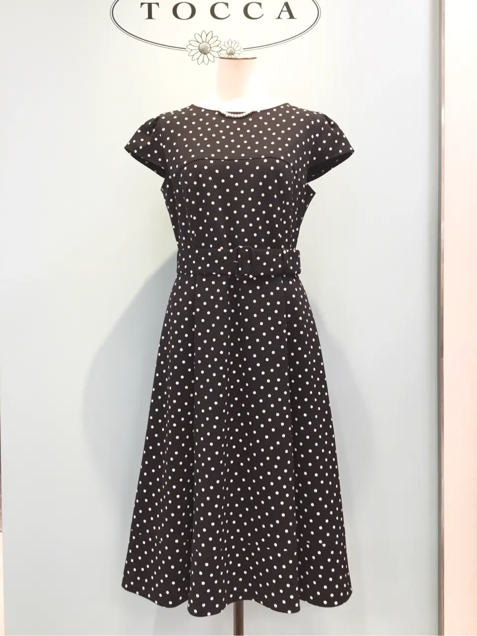 TOCCA 𝒽 コーディネート画像