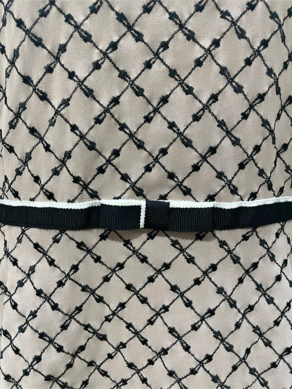 TOCCA Y.N コーディネート画像