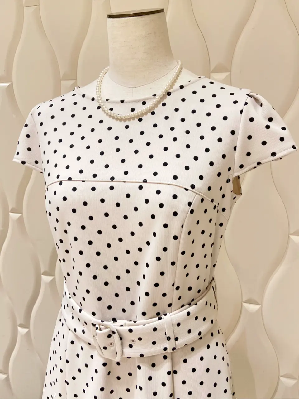 TOCCA 𝕂 コーディネート画像