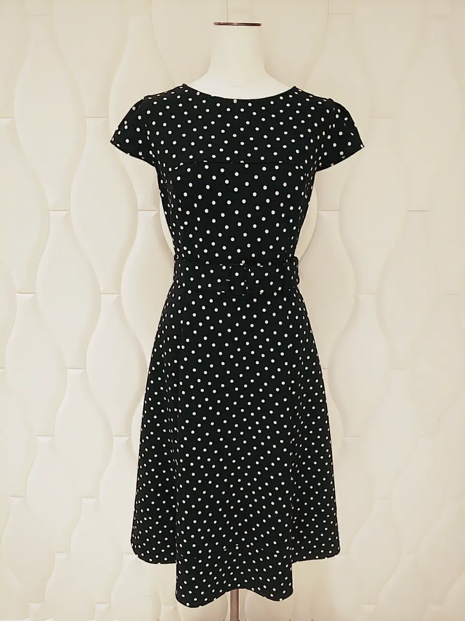 TOCCA スタッフf コーディネート画像