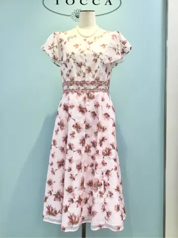 TOCCA 𝒽 コーディネート画像