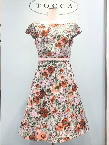TOCCA 𝒽 コーディネート画像