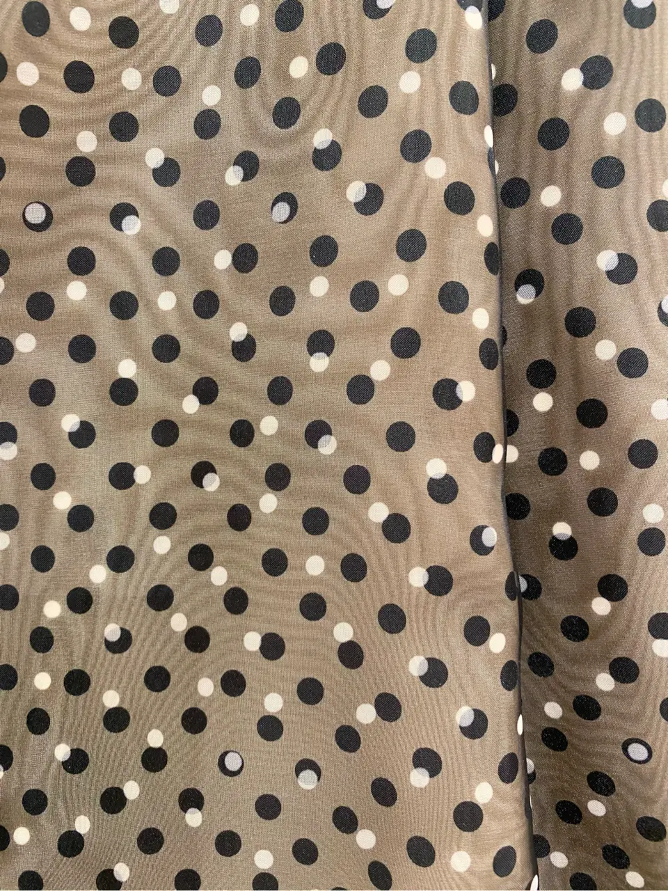 TOCCA A コーディネート画像