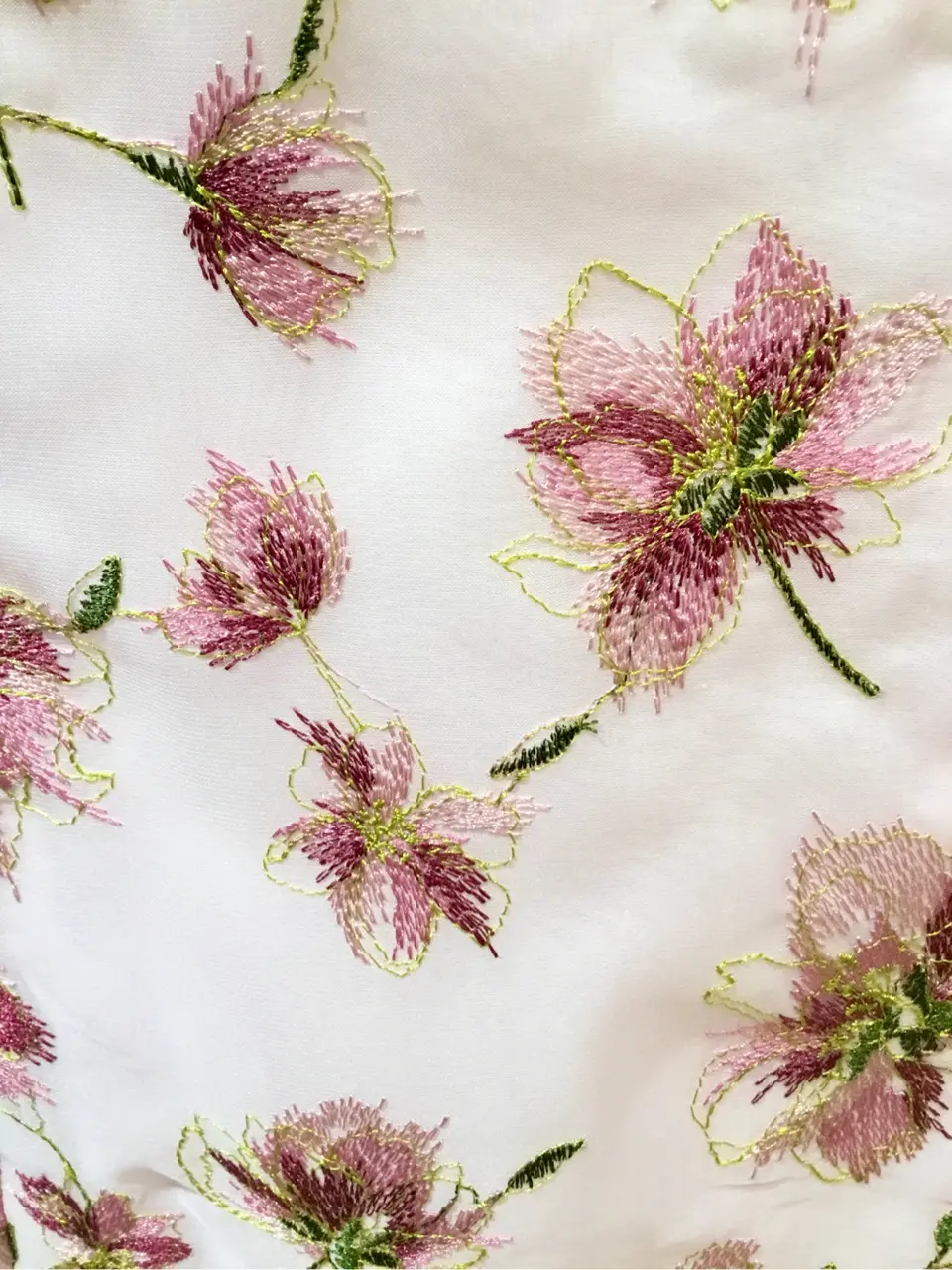 TOCCA Y.K コーディネート画像