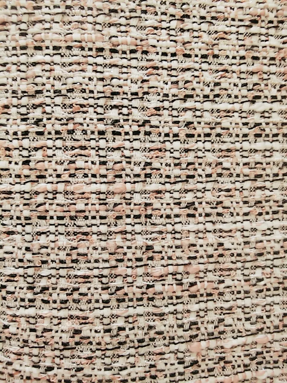 TOCCA スタッフf コーディネート画像