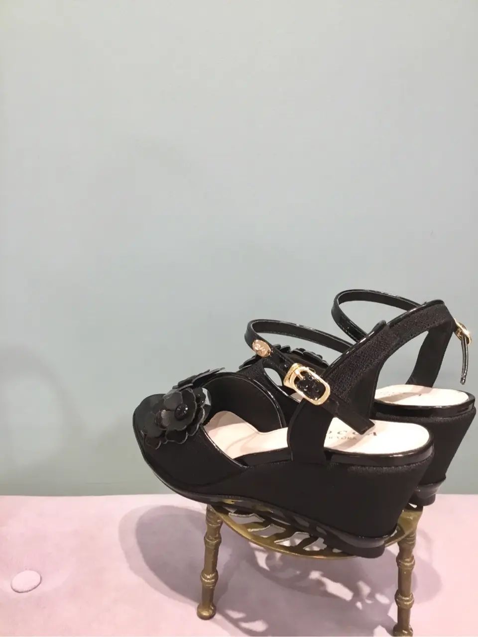 TOCCA 𝒽 コーディネート画像