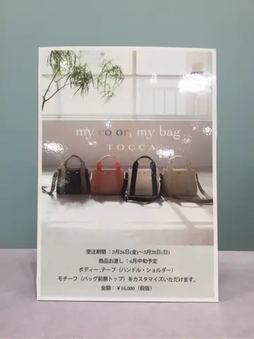 TOCCA 𝒽 コーディネート画像