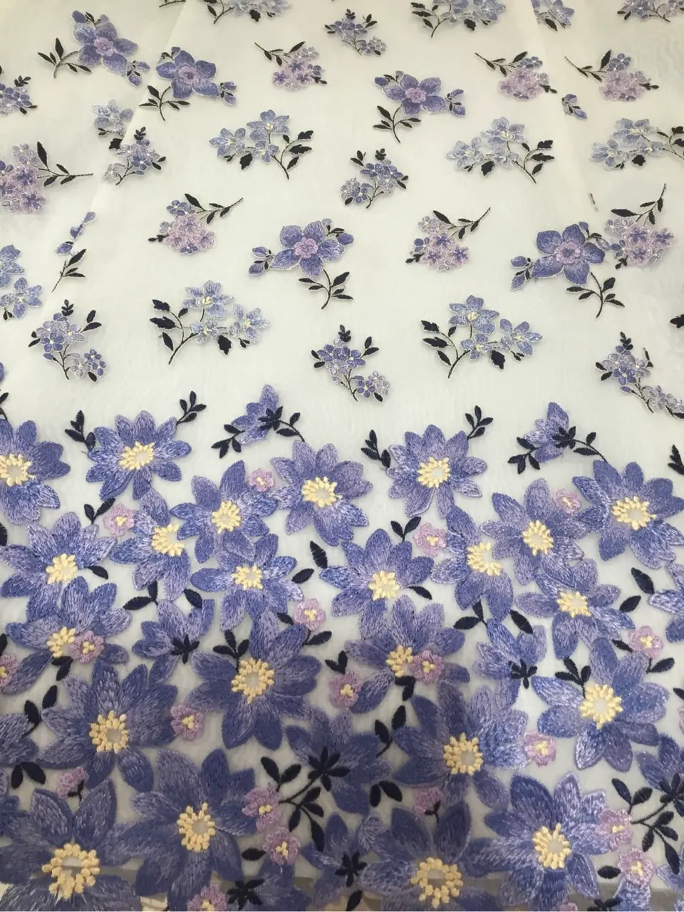 TOCCA ｋｉｍ コーディネート画像