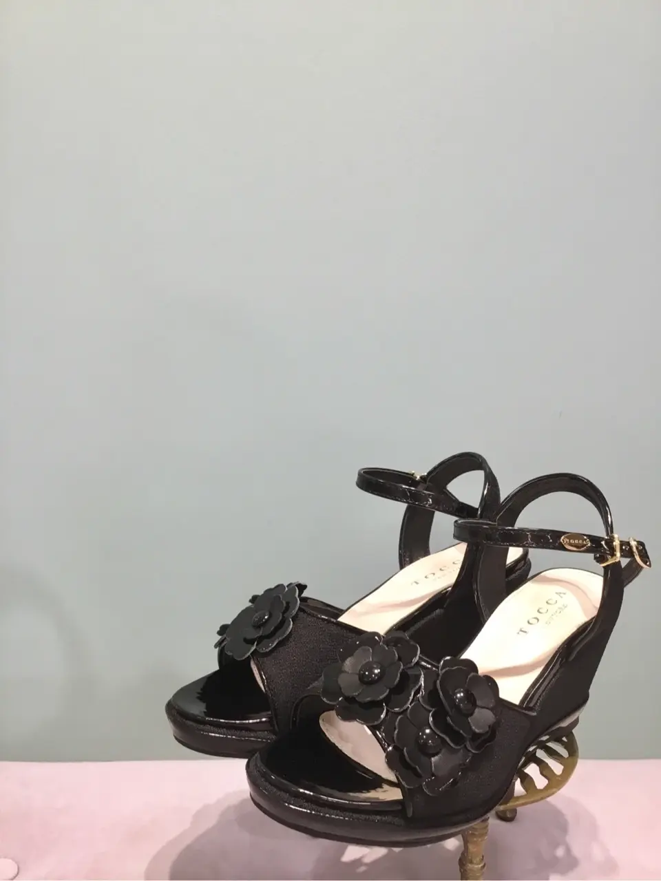 TOCCA 𝒽 コーディネート画像