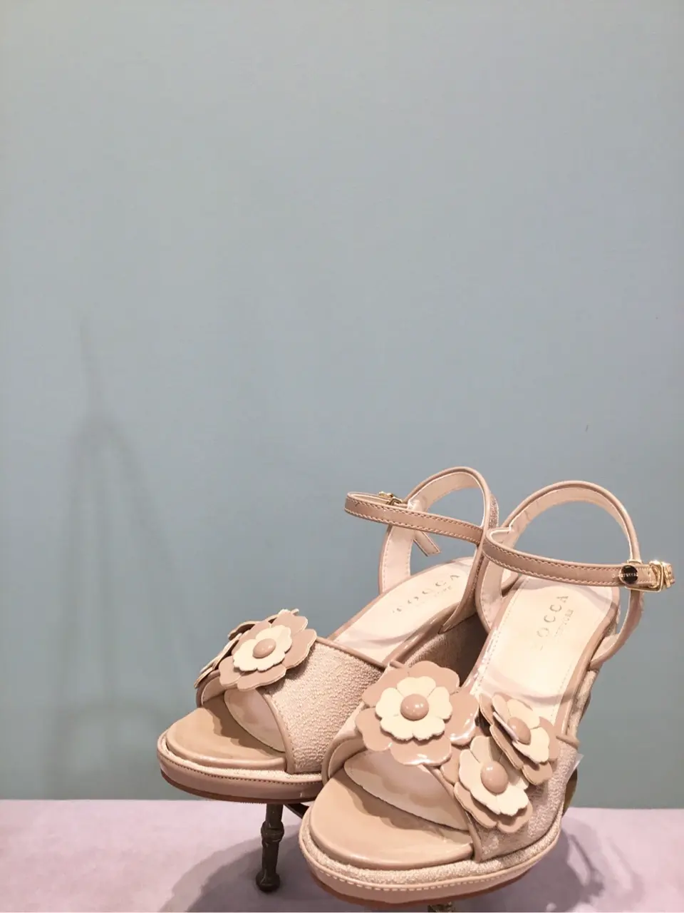 TOCCA 𝒽 コーディネート画像