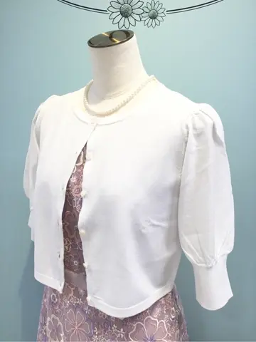 TOCCA 𝒽 コーディネート画像