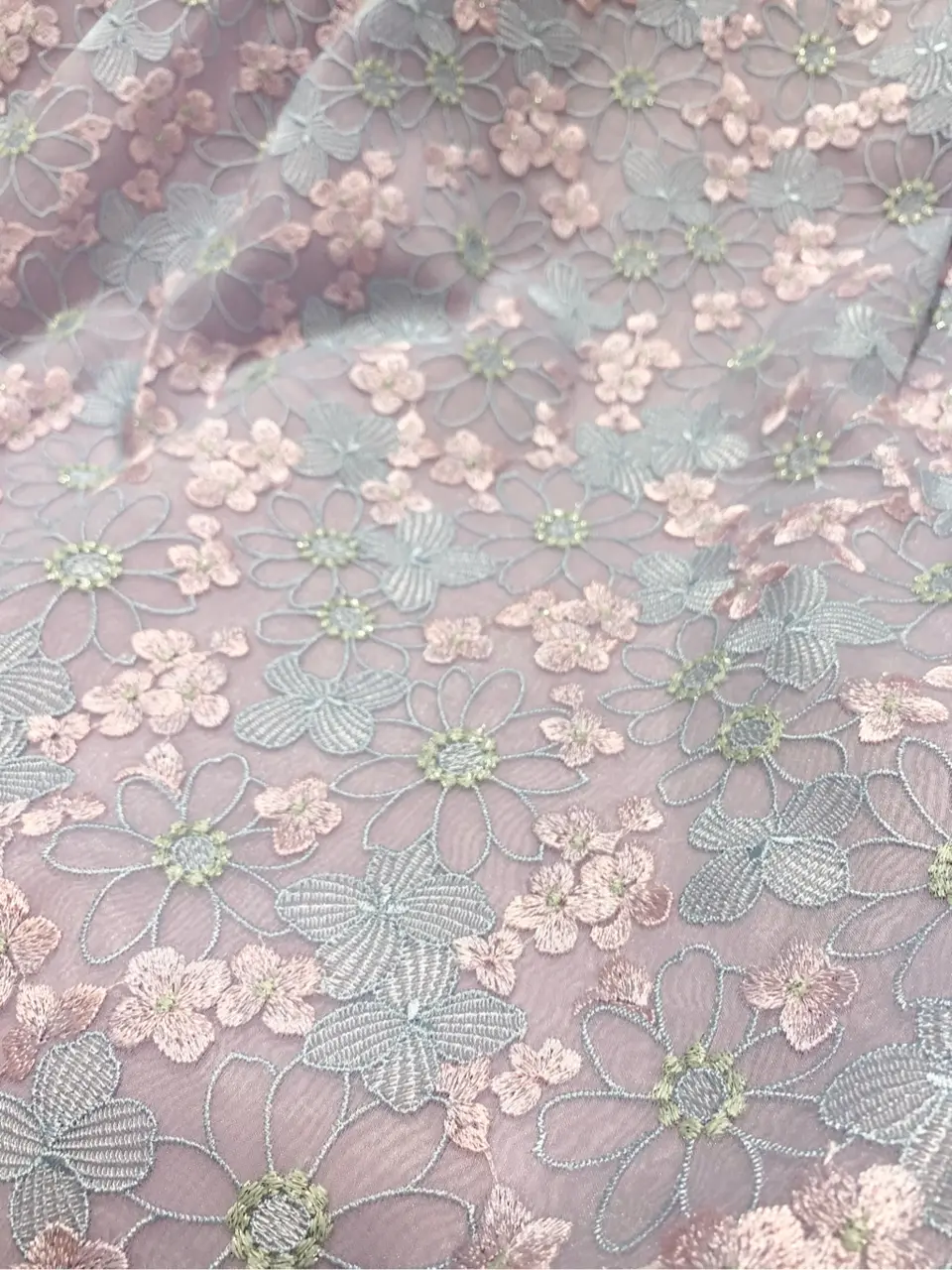 TOCCA 𝓕 コーディネート画像