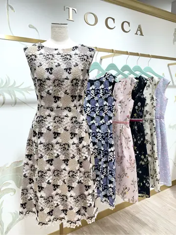 TOCCA 𝓕 コーディネート画像