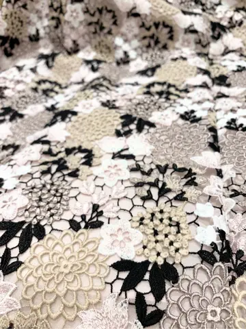 TOCCA 𝓕 コーディネート画像