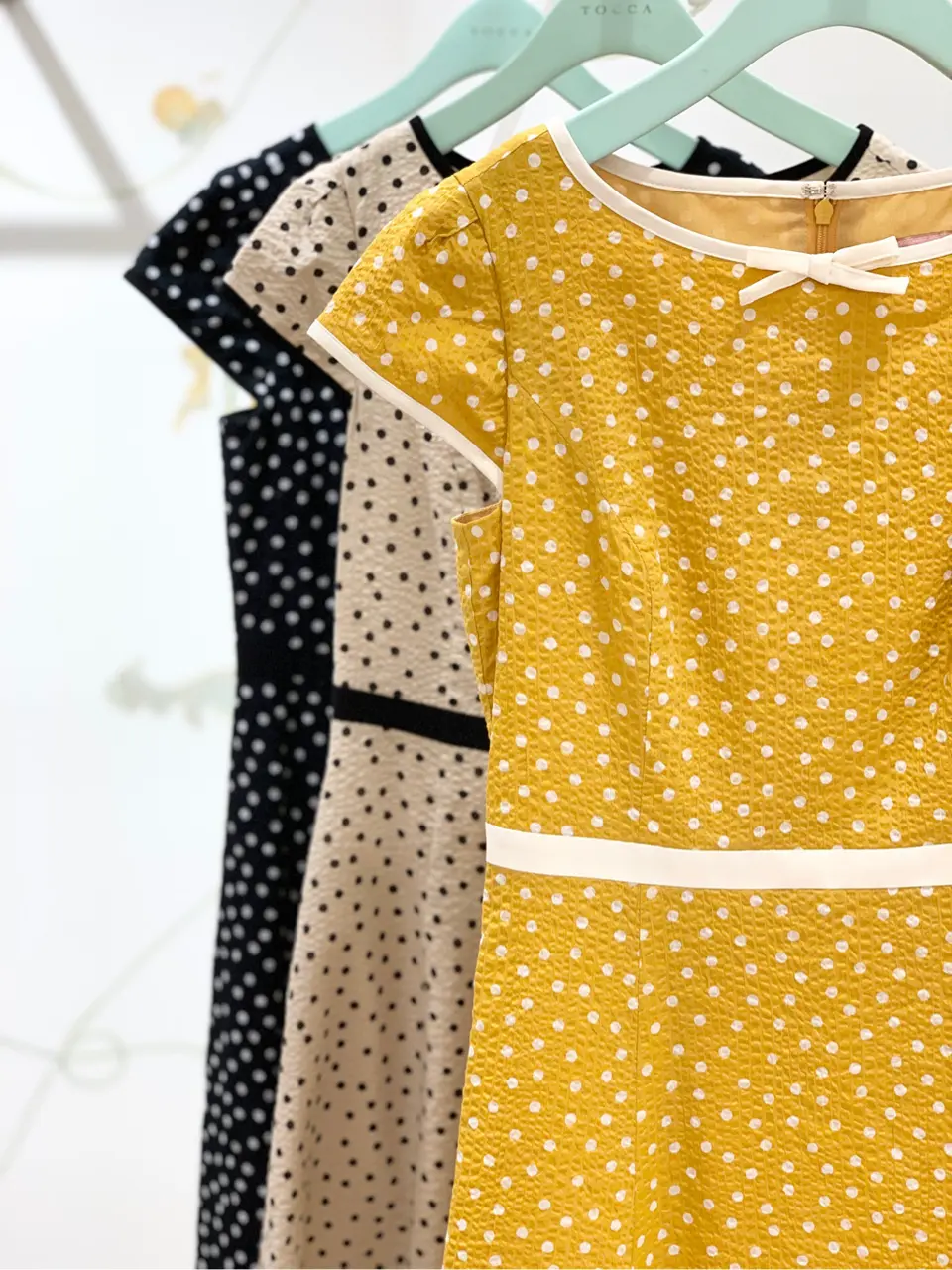 TOCCA 𝓕 コーディネート画像