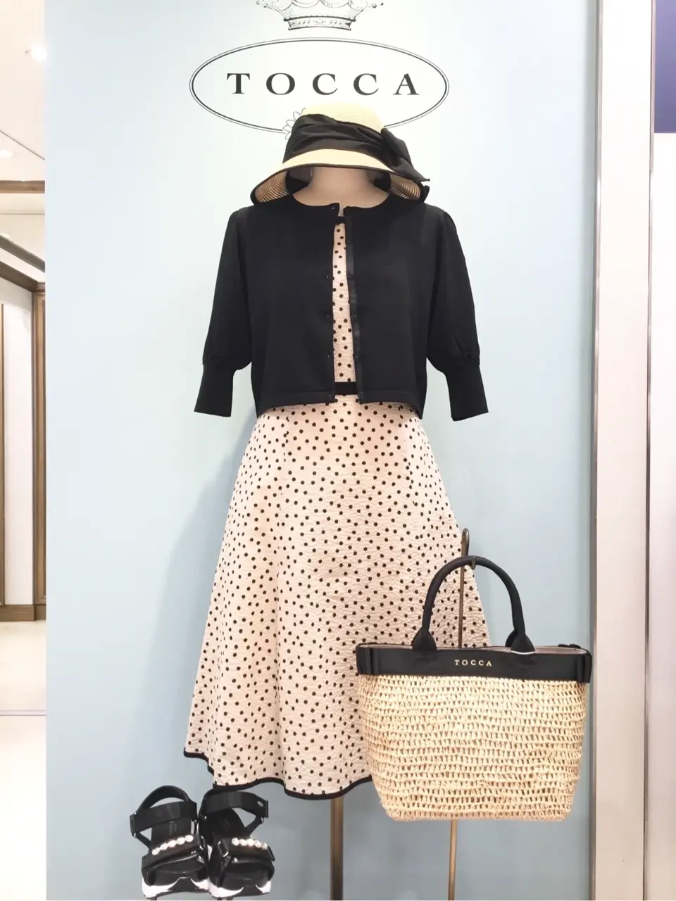 TOCCA 𝒽 コーディネート画像