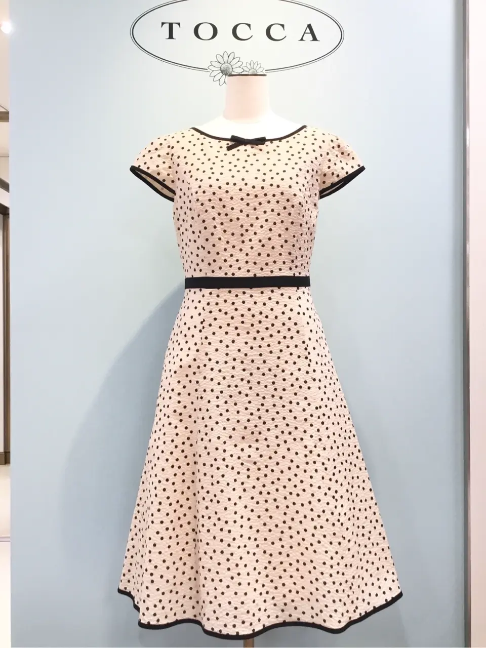 TOCCA 𝒽 コーディネート画像