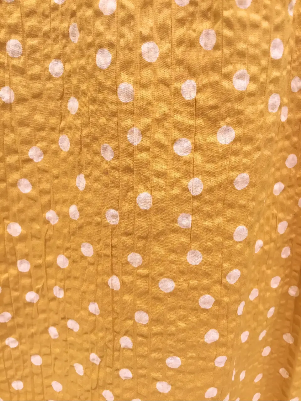 TOCCA Y.K コーディネート画像