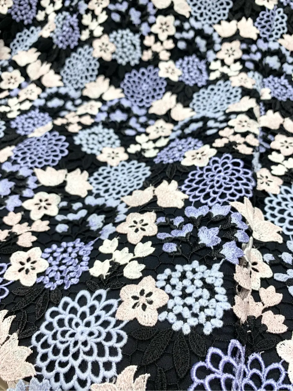 TOCCA 𝓕 コーディネート画像