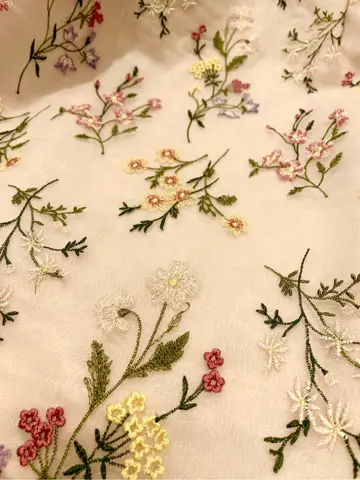 TOCCA 𝓕 コーディネート画像