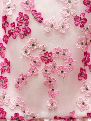 TOCCA 𝒽 コーディネート画像