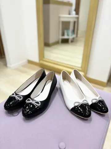 TOCCA 𝒽 コーディネート画像