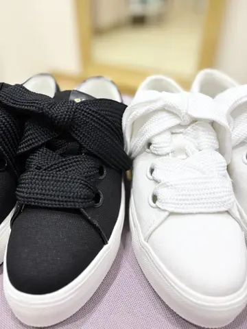 TOCCA 𝒽 コーディネート画像