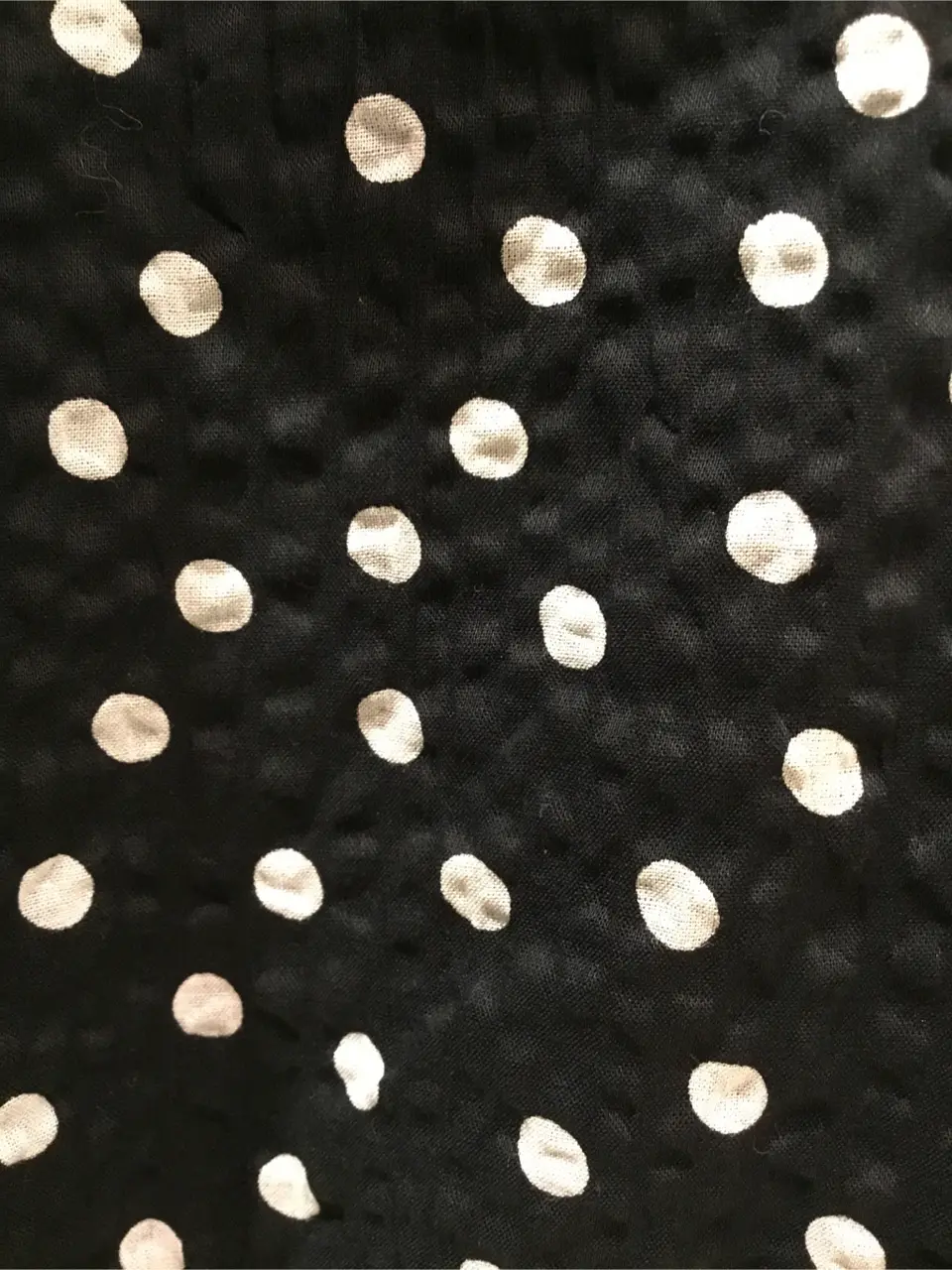 TOCCA Y.K コーディネート画像