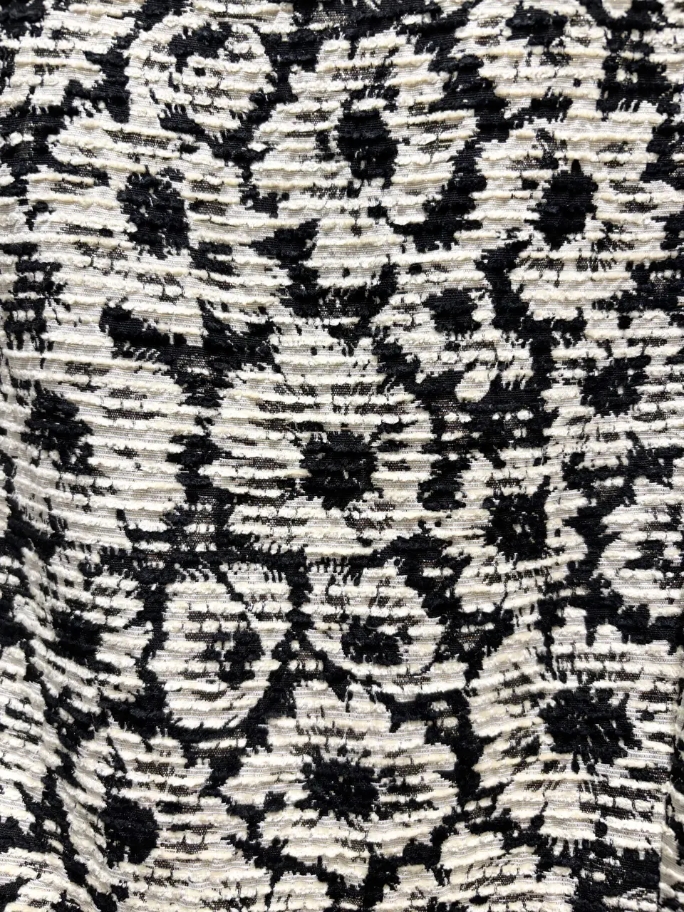 TOCCA 𝒽 コーディネート画像