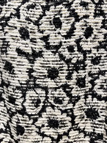 TOCCA 𝒽 コーディネート画像