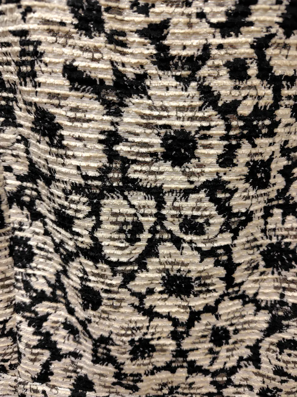 TOCCA ｋｉｍ コーディネート画像