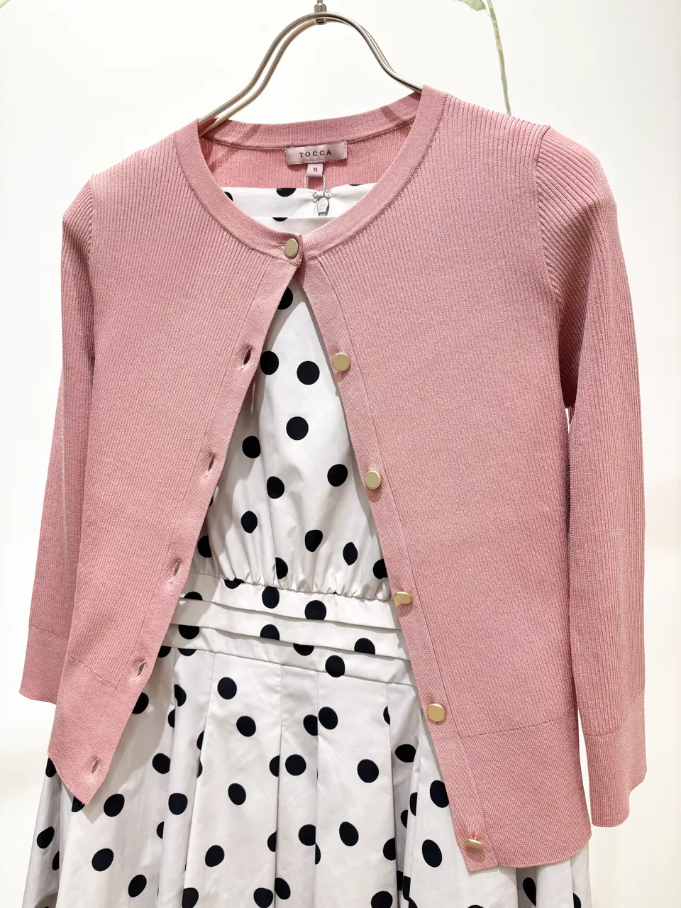 TOCCA 𝒽 コーディネート画像