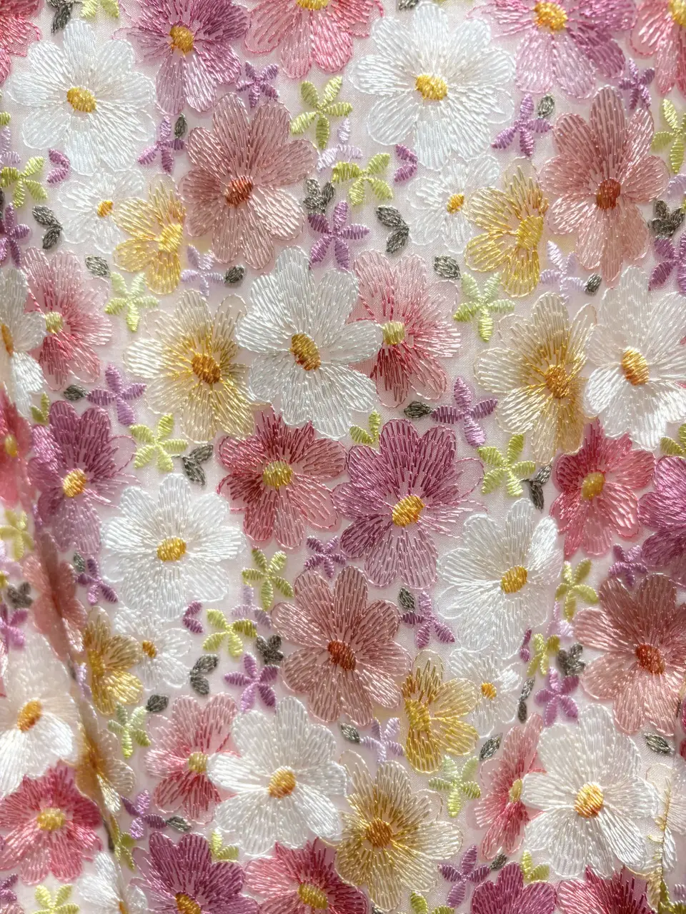 TOCCA 𝒽 コーディネート画像