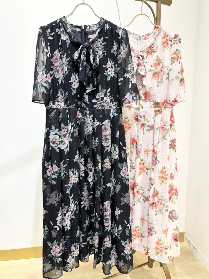 TOCCA 𝒽 コーディネート画像