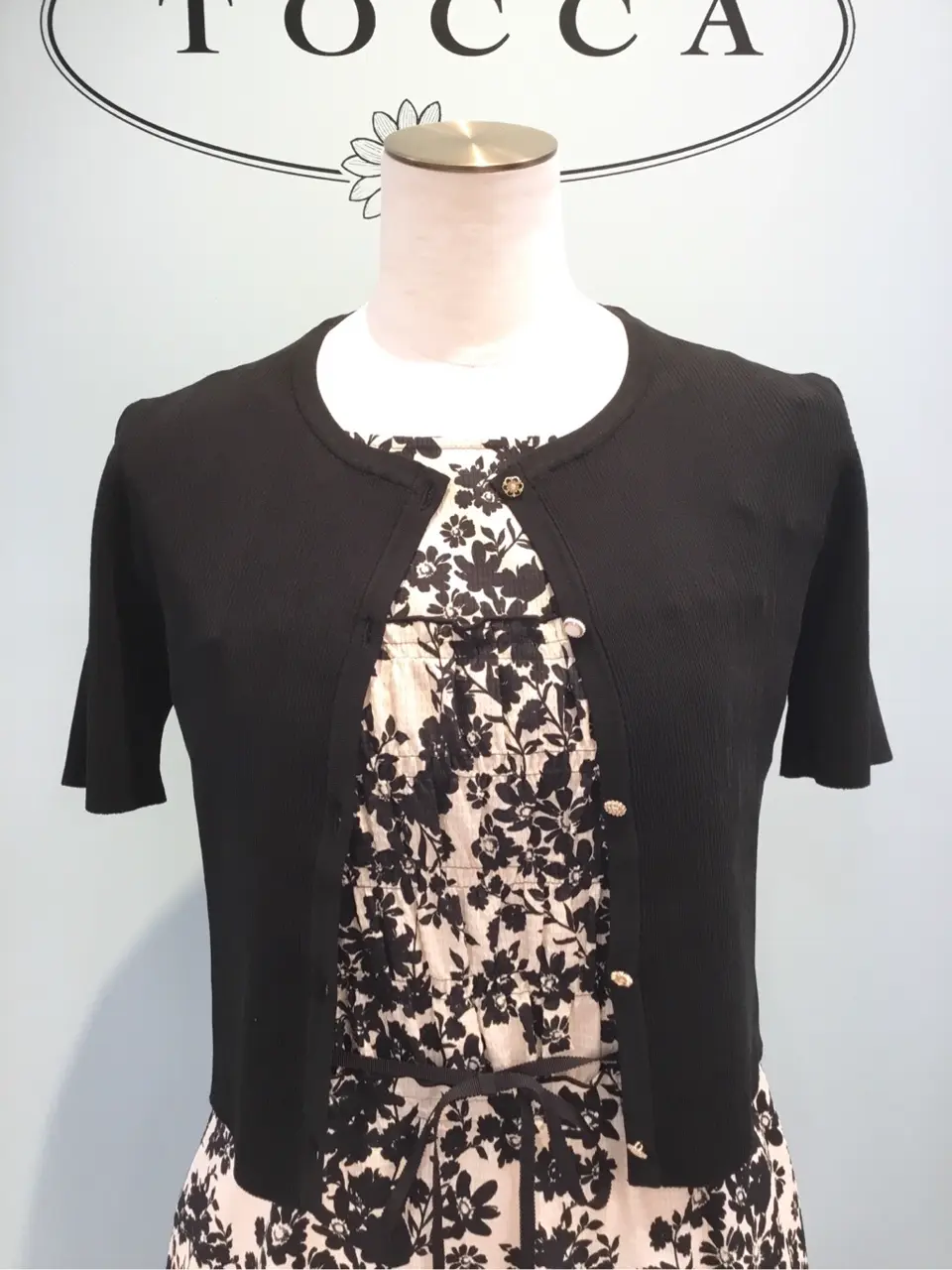 TOCCA 𝒽 コーディネート画像