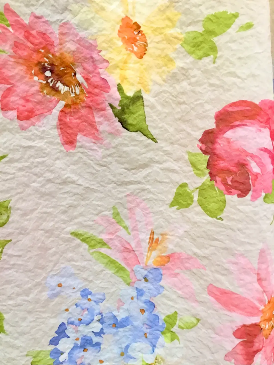 TOCCA Y.K コーディネート画像