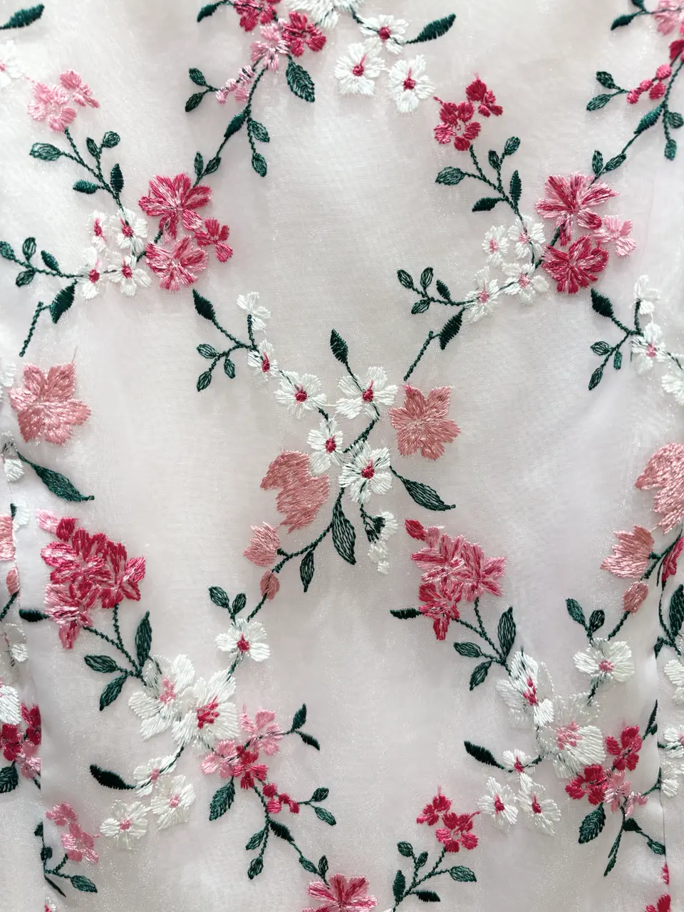 TOCCA 𝒽 コーディネート画像