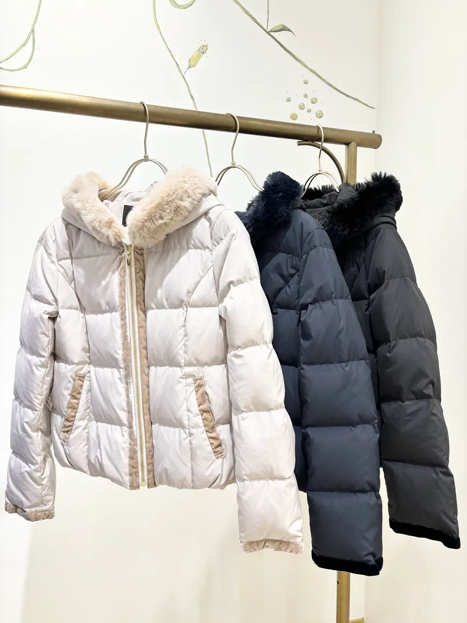 TOCCA 𝒽 コーディネート画像