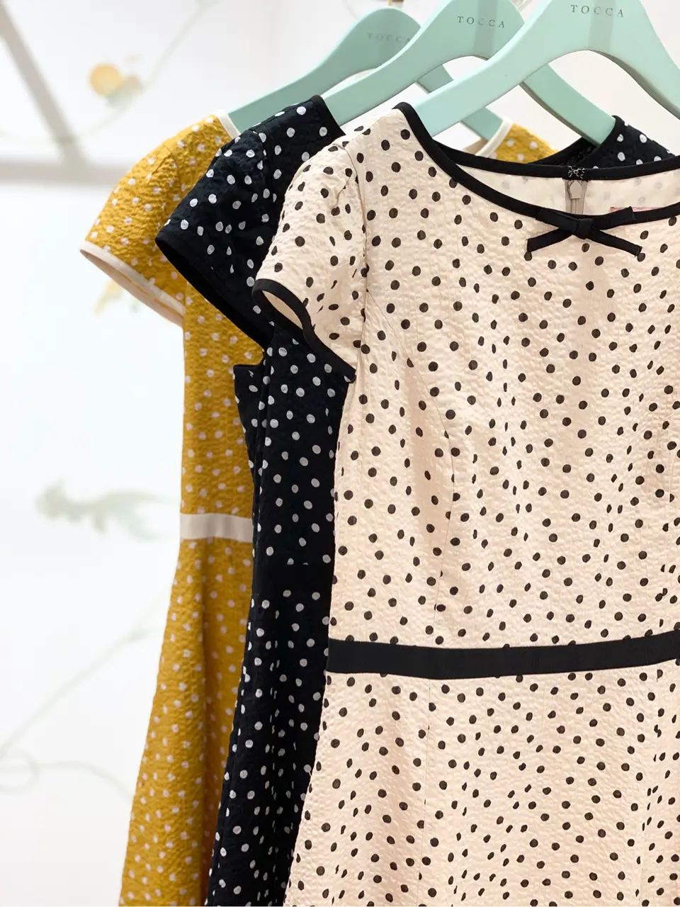 TOCCA 𝓕 コーディネート画像