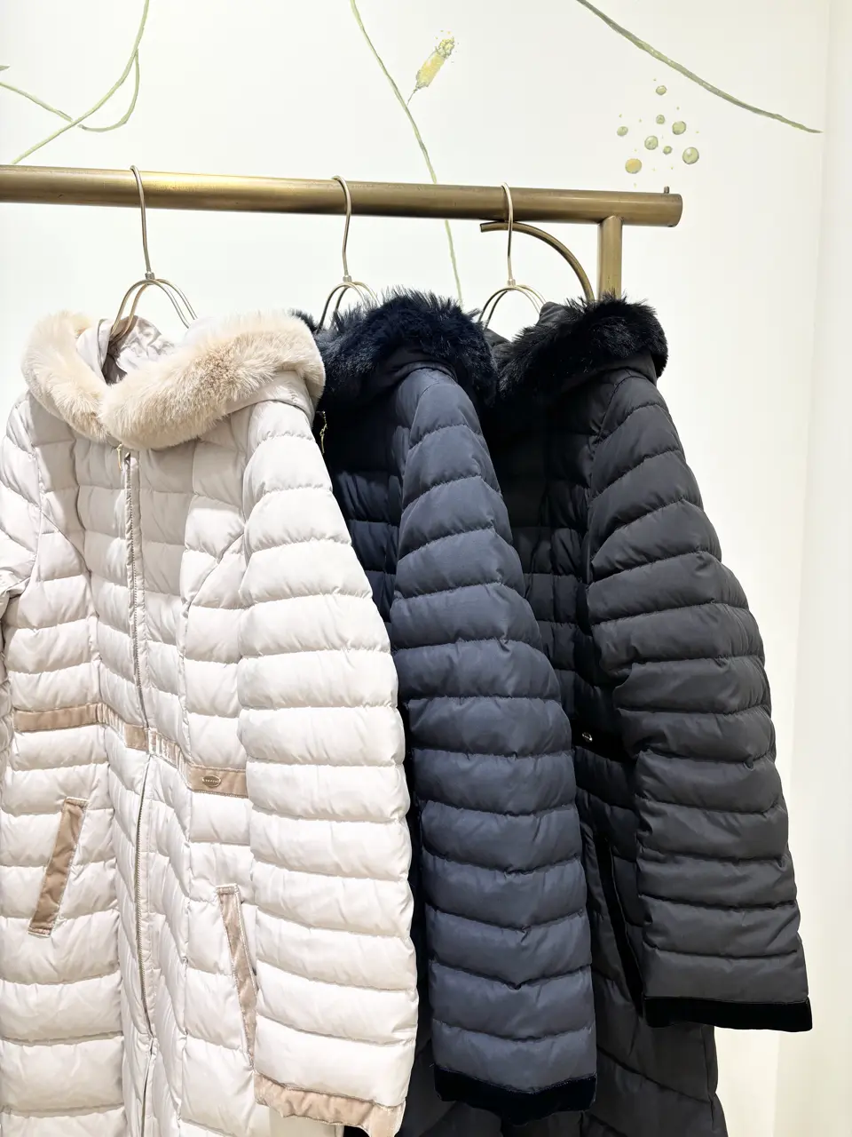 TOCCA 𝒽 コーディネート画像