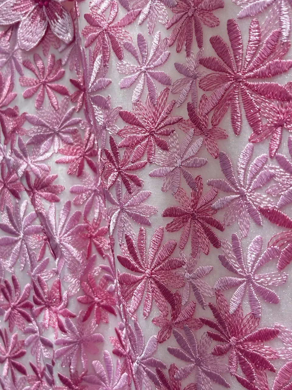 TOCCA Nana  コーディネート画像