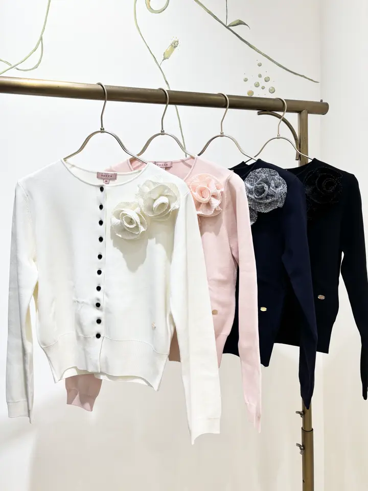 TOCCA 𝒽 コーディネート画像