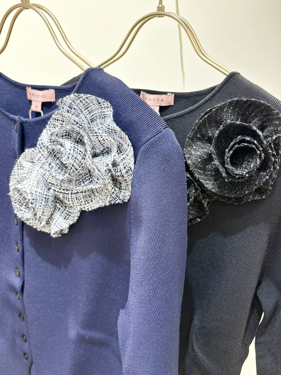 TOCCA 𝒽 コーディネート画像