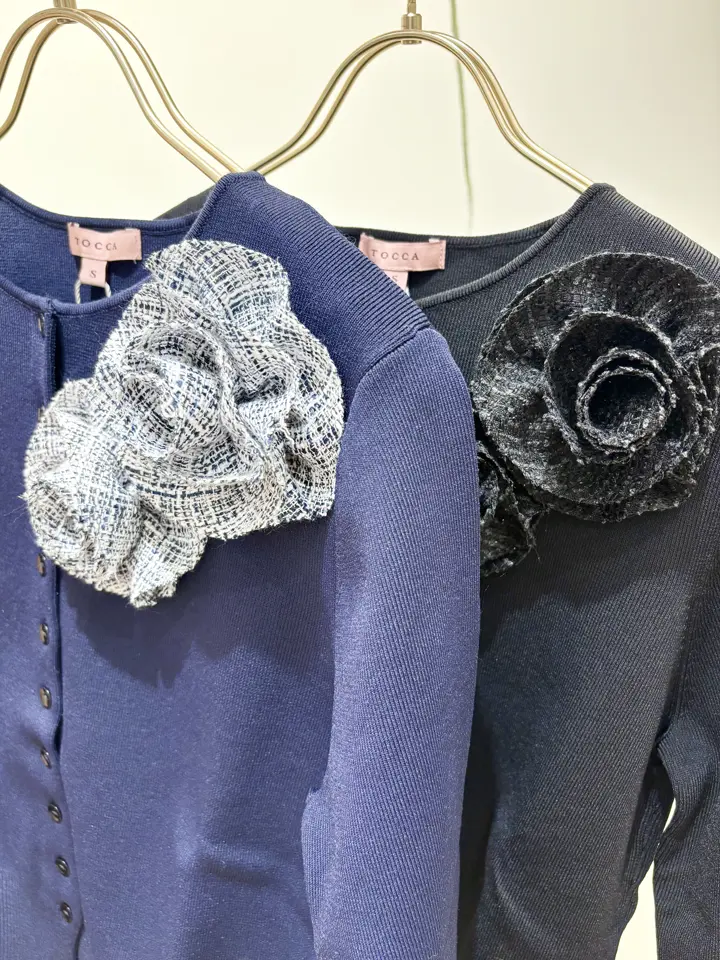 TOCCA 𝒽 コーディネート画像