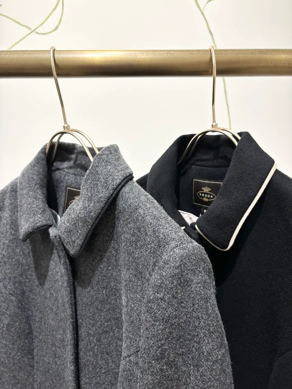 TOCCA 𝒽 コーディネート画像