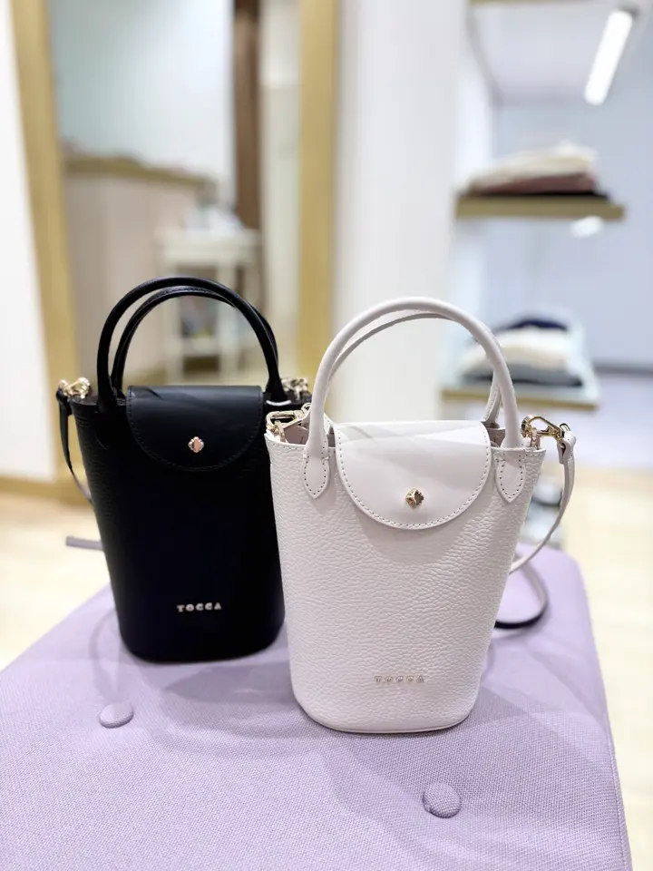 TOCCA 𝒽 コーディネート画像