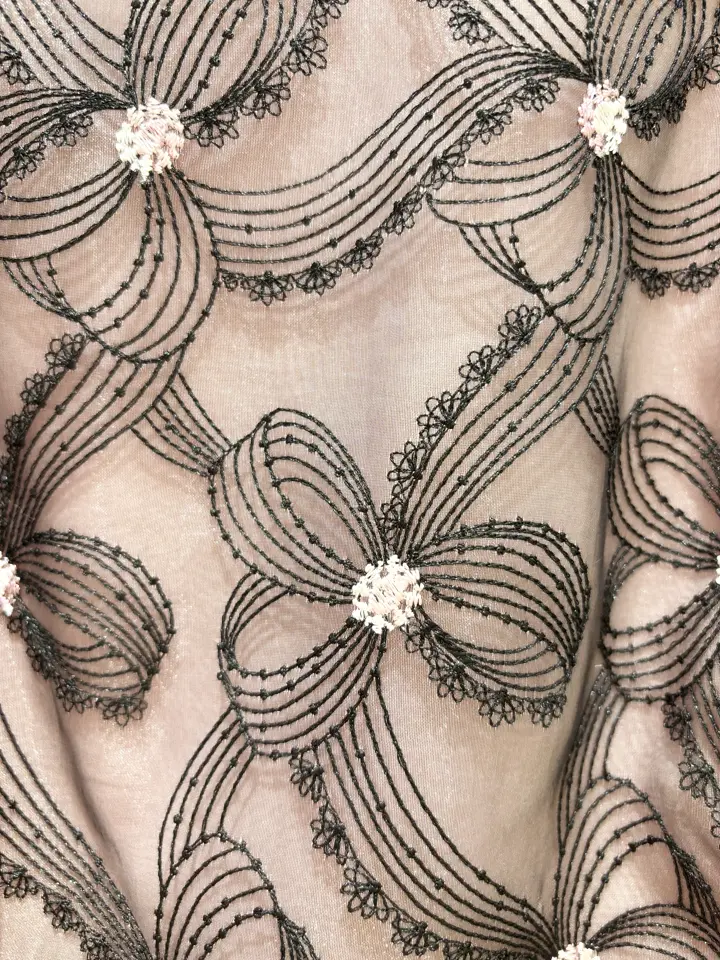 TOCCA 𝒽 コーディネート画像