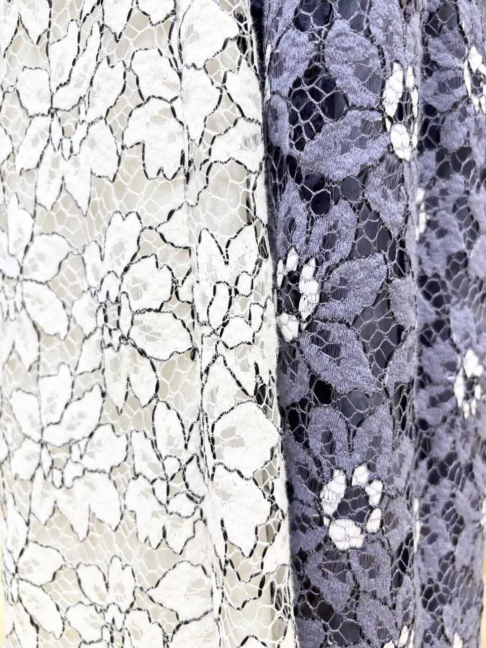 TOCCA 𝒽 コーディネート画像