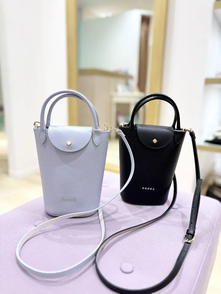 TOCCA 𝒽 コーディネート画像