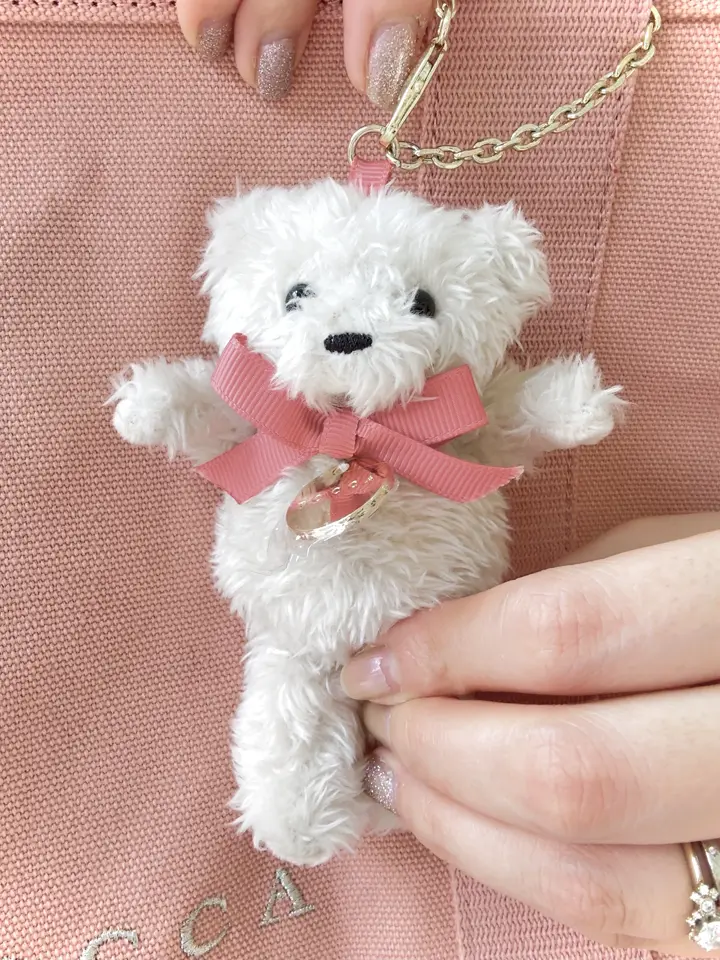 TOCCA スタッフ ｍ コーディネート画像